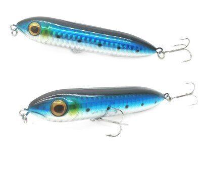Spook Dog - Blue / Chrome