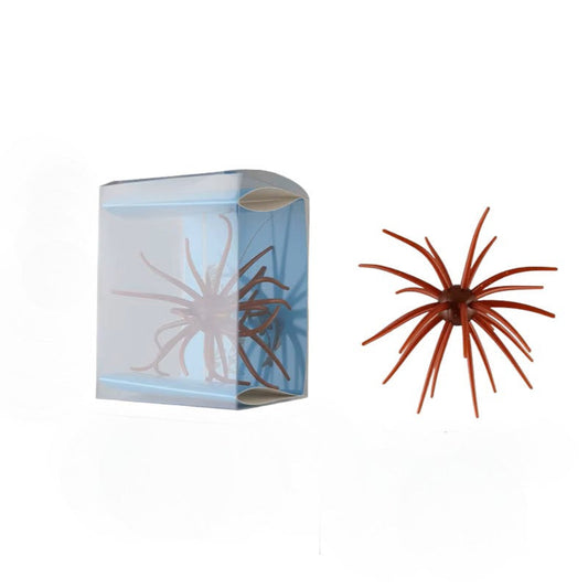 Urchin