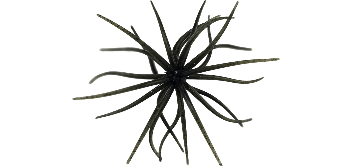 Urchin