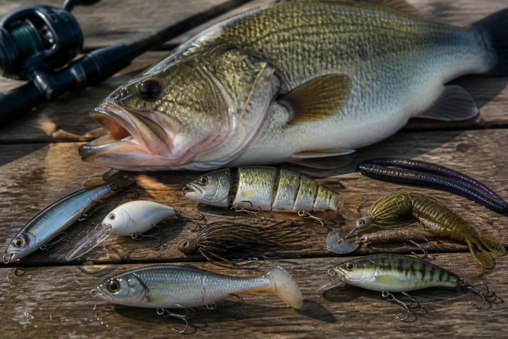 Best Fishing Lures for Trophy Bass in 2026
