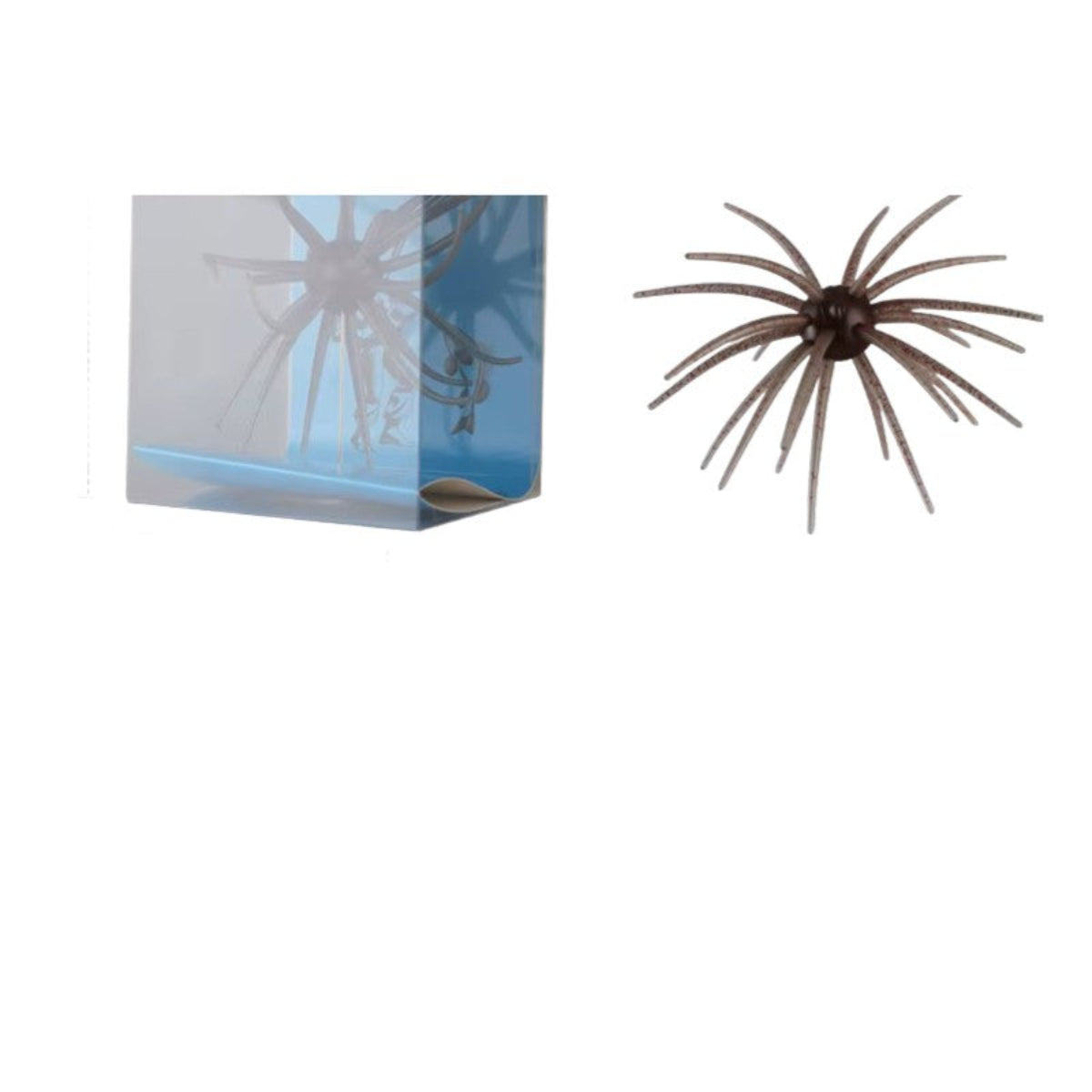 Urchin