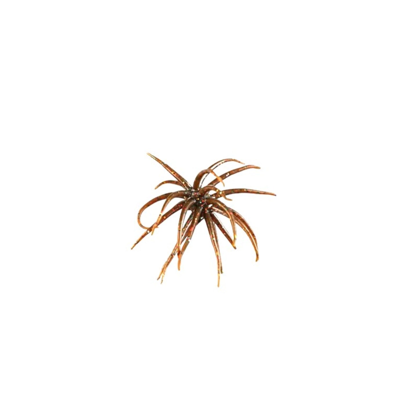 Urchin ( Item is Pre Order only will be shipped as soon as they arrive)