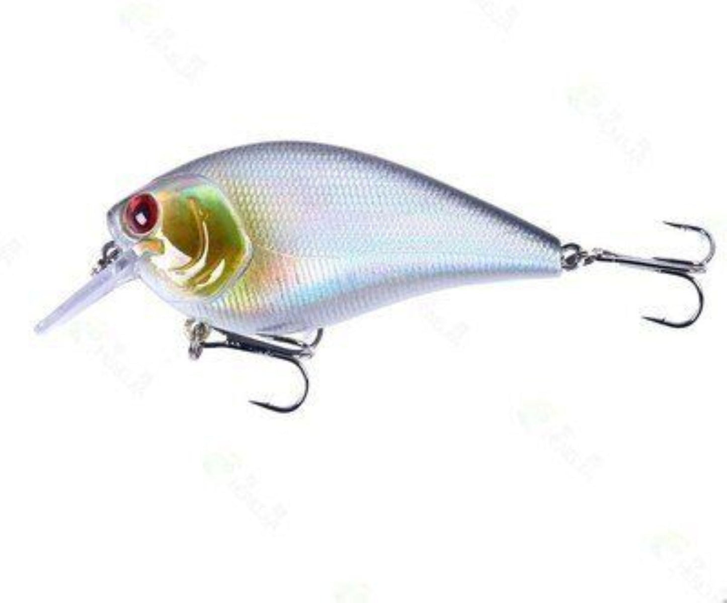 Square Bill Shad