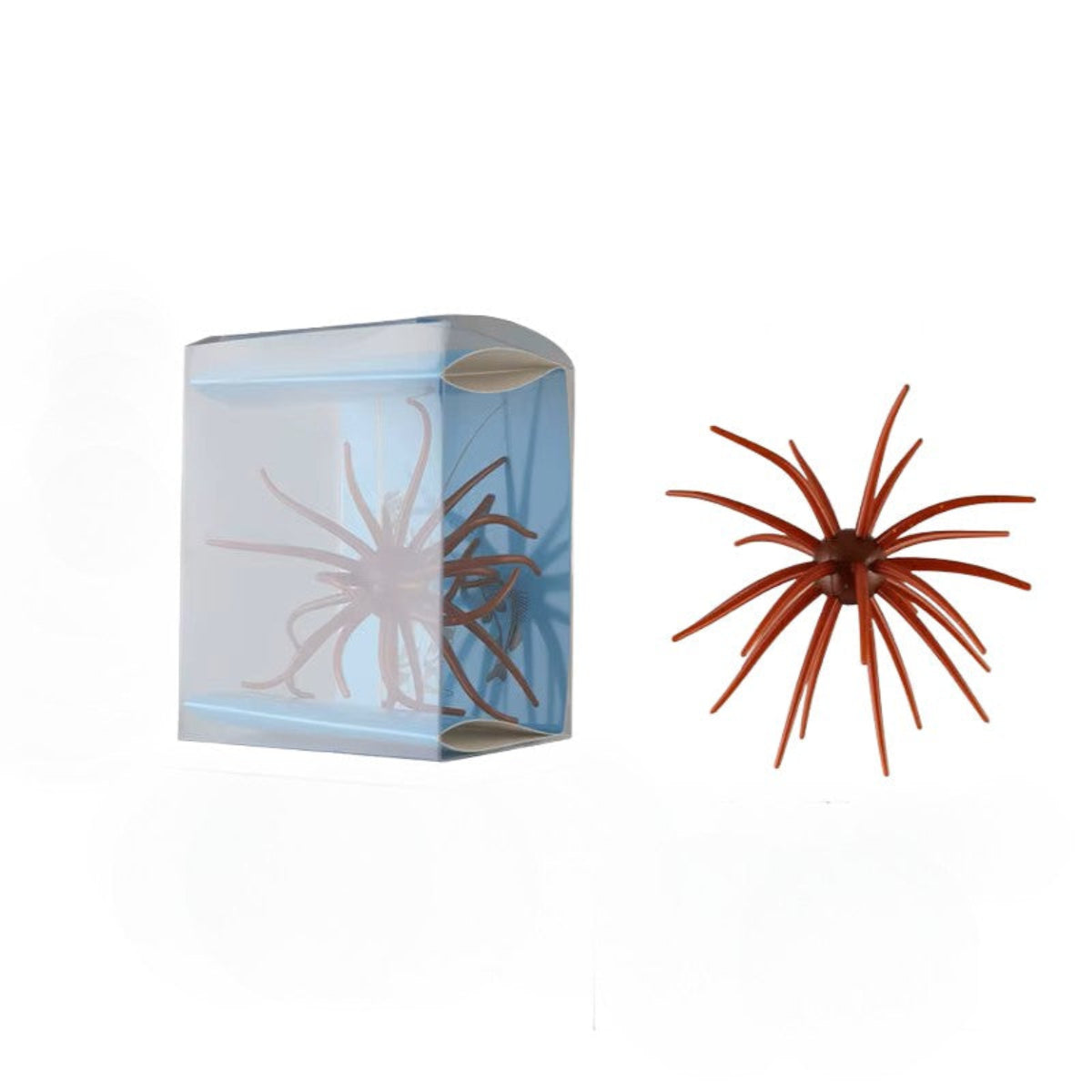 Urchin