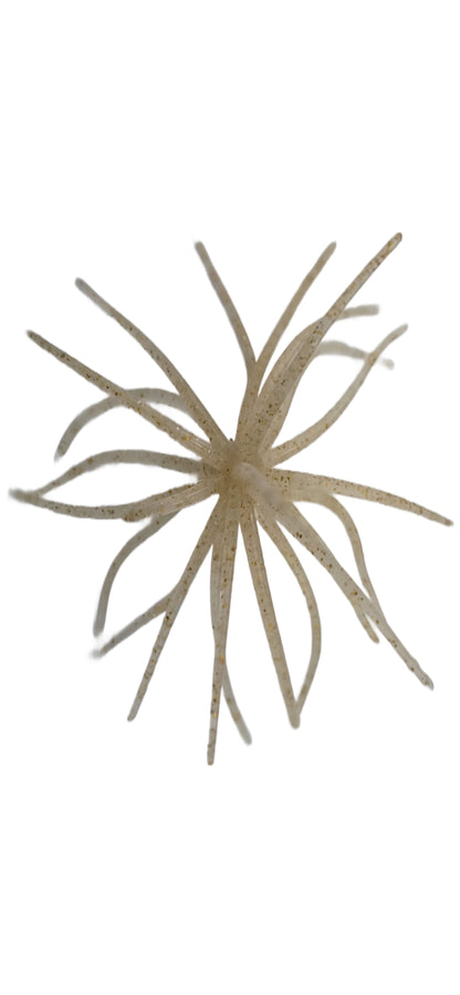 Urchin