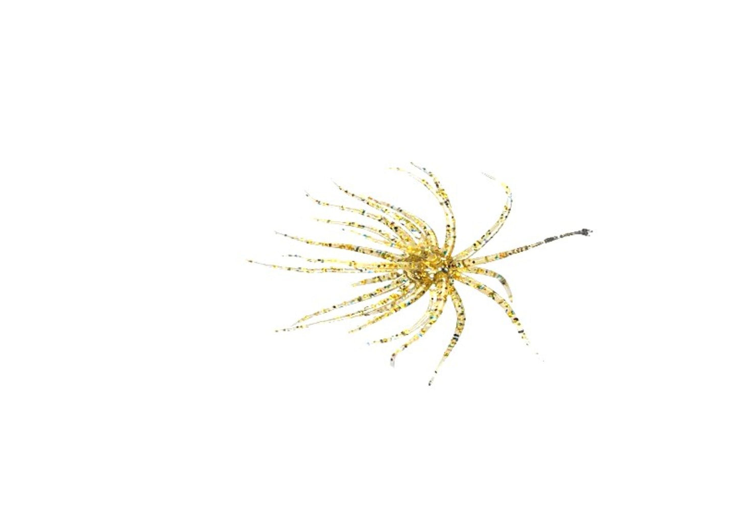 Urchin ( Item is Pre Order only will be shipped as soon as they arrive)