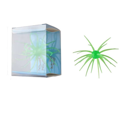 Urchin