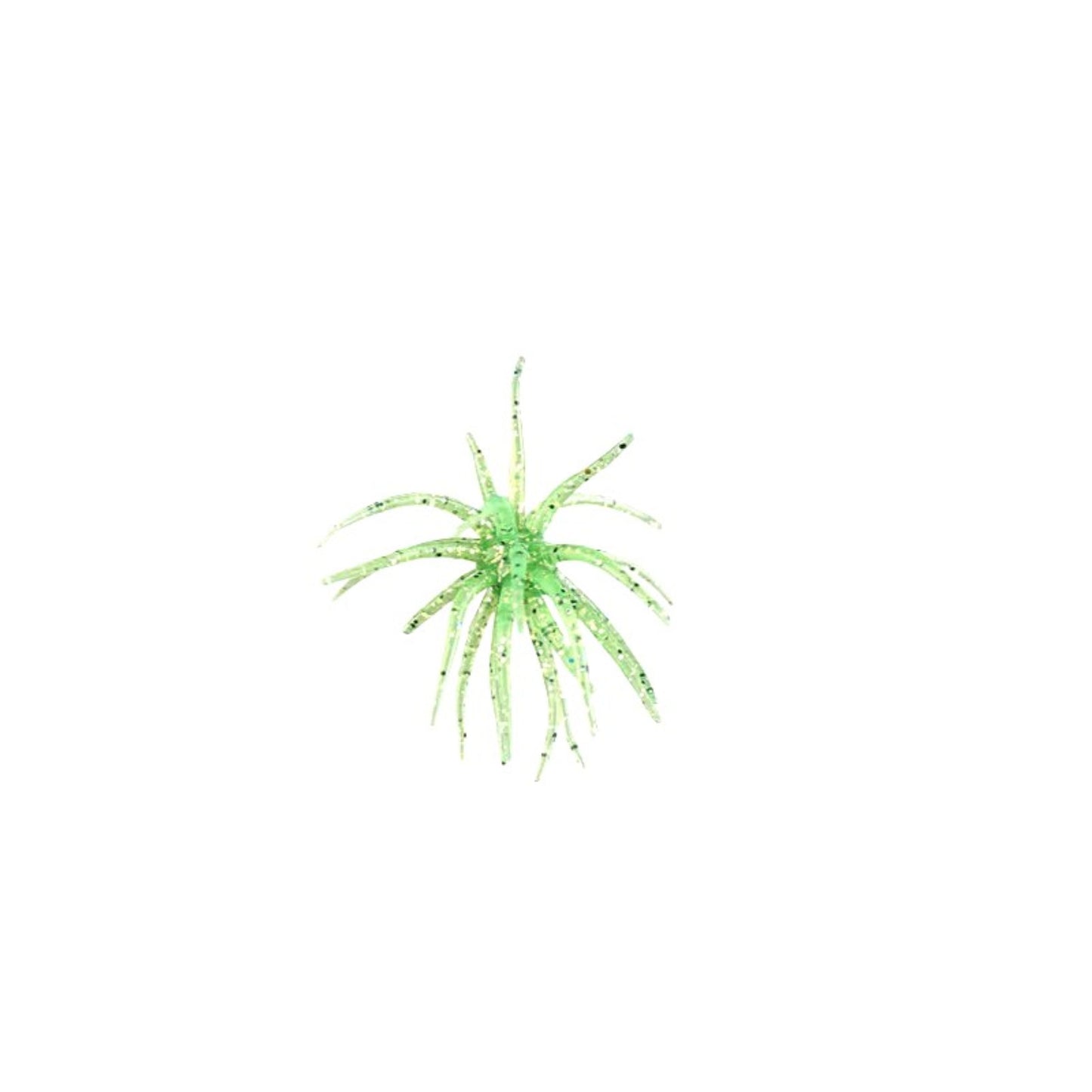Urchin ( Item is Pre Order only will be shipped as soon as they arrive)