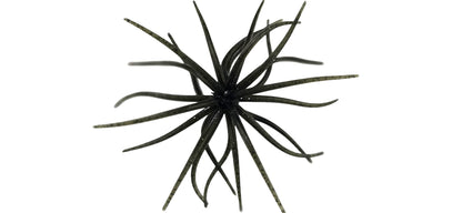 Urchin