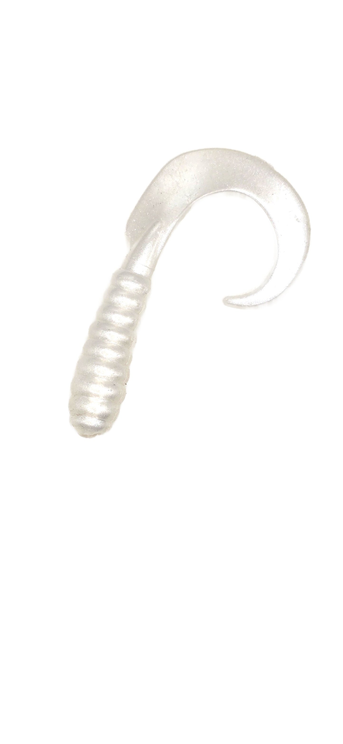 Single Tail Grub