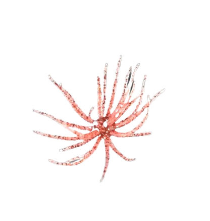 Urchin