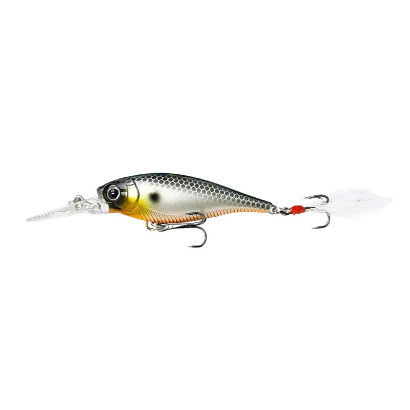 3D Minnow 3" (0 - 6') -  Shad