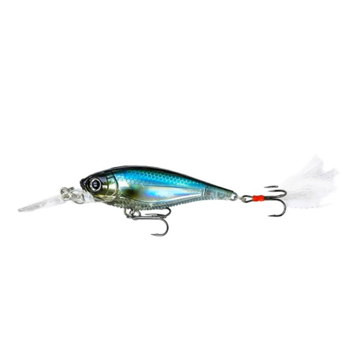 3D Minnow